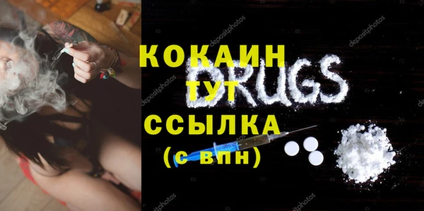 шишки Арсеньев