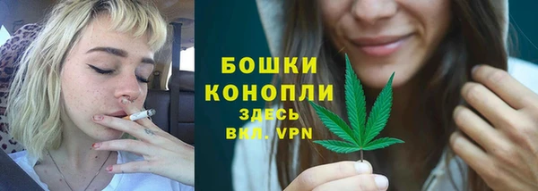 ешки Аркадак