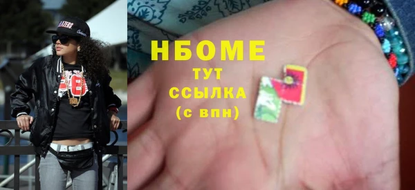 шишки Арсеньев