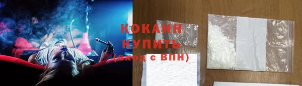 шишки Арсеньев