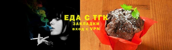 шишки Арсеньев