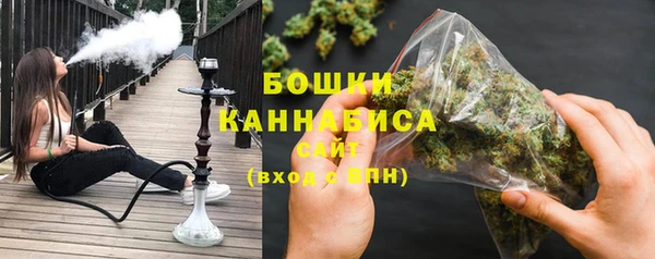 ешки Аркадак