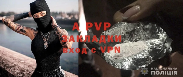 шишки Арсеньев