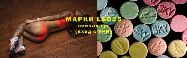 ешки Аркадак