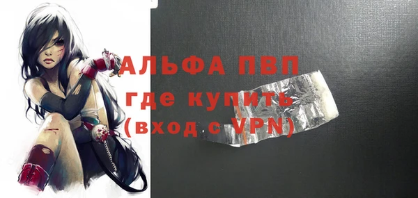 шишки Арсеньев