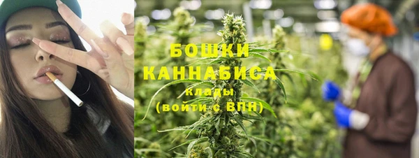 ешки Аркадак